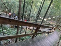 -宁波浙东大竹海景区