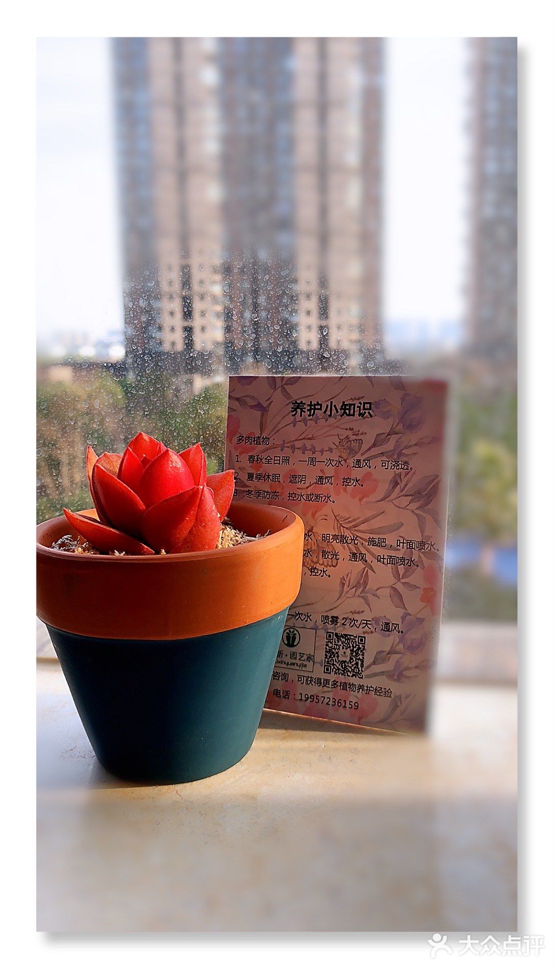 罗森草莓季，果断入手了草莓冰皮蛋糕