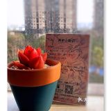 罗森草莓季，果断入手了草莓冰皮蛋糕