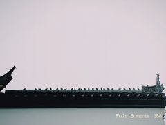 -上海方塔园