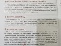 -重庆医科大学附属第一医院(本部)