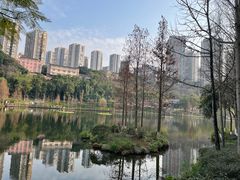 -重庆彩云湖湿地公园