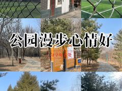 -太阳宫足球俱乐部