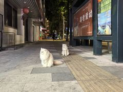 -奈雪的茶(石厦时代广场店)