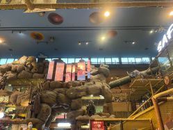 -卡通尼·Safari非洲探索乐园·生日会(金桥国际商业广场店)