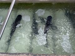 -姥家大锅台水库渔家