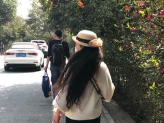 -秀丽东方