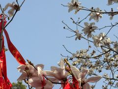 -长春观