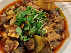 -高坎一品甲鱼庄(两河店)