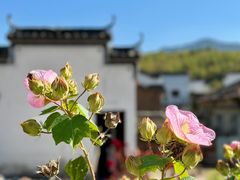 -塔川景区