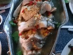 -光海鲜鱼翅餐厅(叻差拉披色路店)