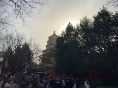 -大慈恩寺(大雁塔)