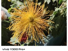 -地二手作鱼汤馄饨(上街里店)