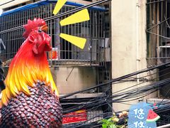 -一只烧鸡公(解放碑店)