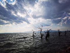 -呈贡滇池生态湿地公园