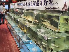 水产区-胖姐渔村(中源大道店)