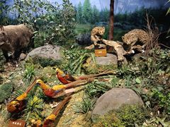 -陕西自然博物馆