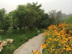 iphone_upload_pic-仁寿山