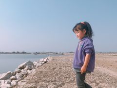 -合肥滨湖国家森林公园