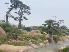 -罗红摄影艺术馆