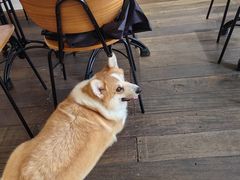 -肥朵食堂(带梦胡同店)