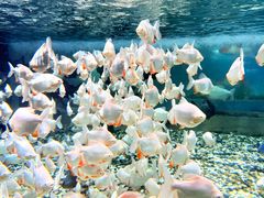 -成都浩海立方海洋公园