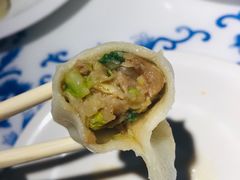 -东方饺子王臻味餐厅(新嘉坡城店)