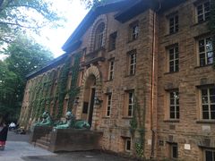-普林斯顿大学