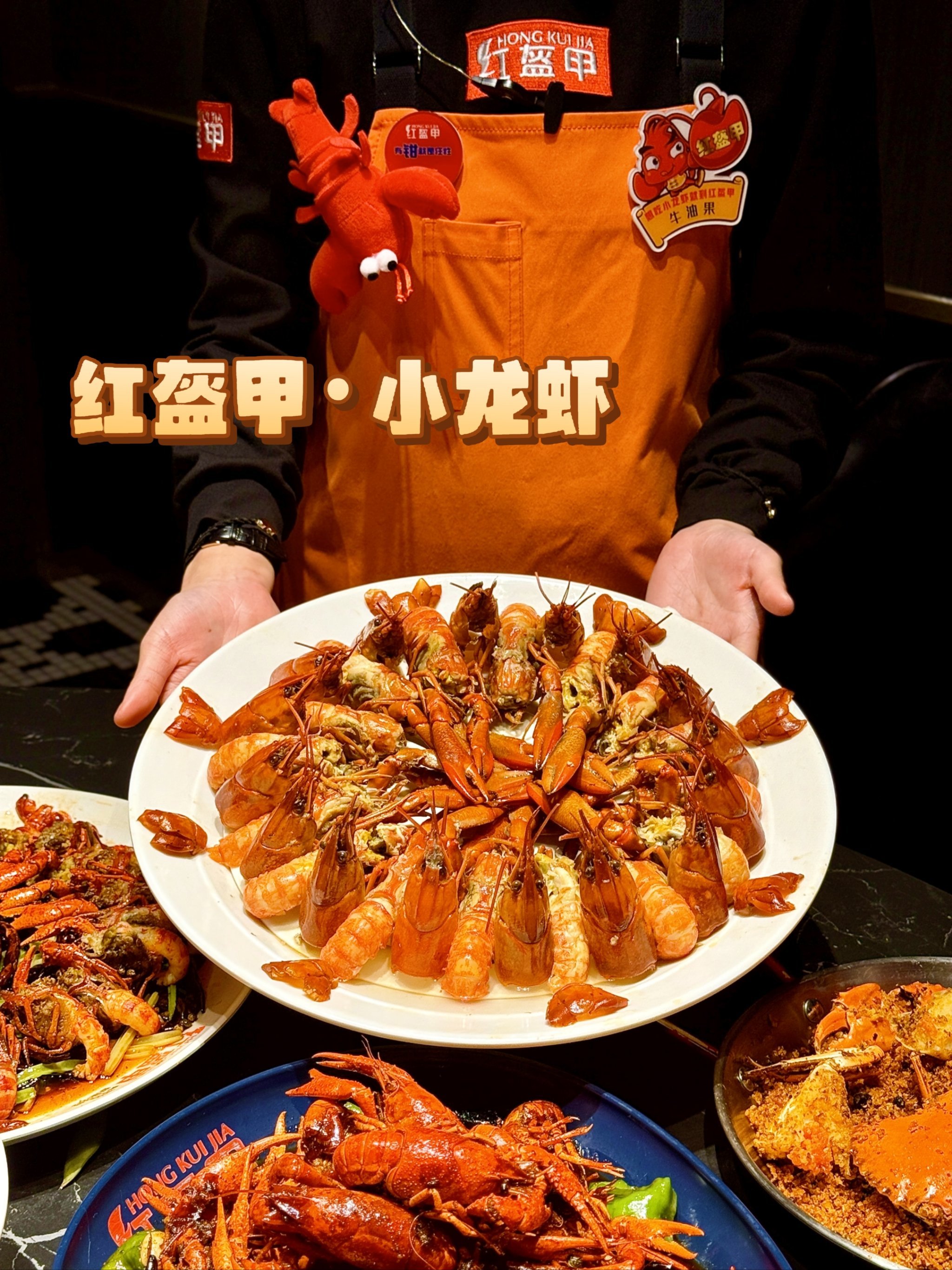 小龙虾项目(小龙虾加工项目)