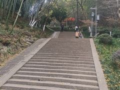 -峙山公园