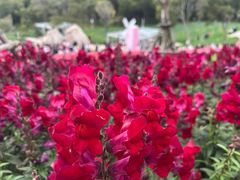 -何哥鲜鱼餐厅(龙湖花园店)