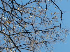 android_upload_pic-新江湾城公园