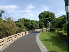 -立新湖公园