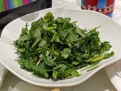 -丁老爷子苏香圆