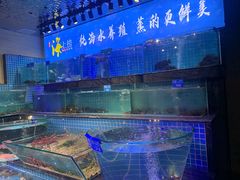 水产区-青蓬海上捞蒸品海鲜城(海岸城店)