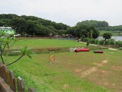 -良成狗狗乐园