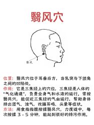 -玛莲朵·海菲秀冰珀科