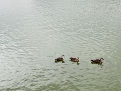 -海珠湖公园
