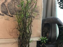 -森野花艺培训·企业团建活动沙龙