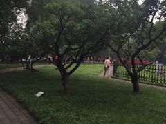 -玲珑塔公园