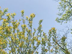 -西湖风景区-江洋畈生态公园