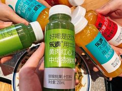-二胖家铁锅炖大鹅(双井店)