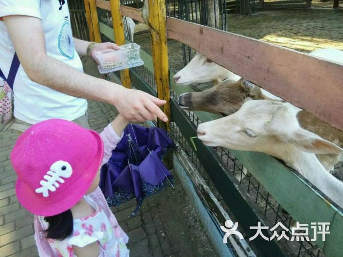 無錫動物園·太湖歡樂園圖片 - 第3張