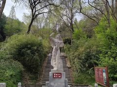 -原山国家森林公园