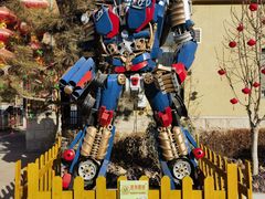 -南宫五洲植物乐园