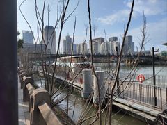 -运河游船(武林门码头)