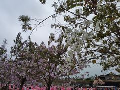 -盈香心动乐园