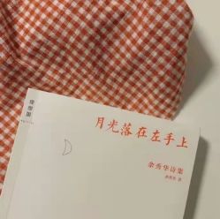 点击看大图 -凡碧诗毛孔清洁收细