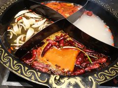-苏州金科大酒店