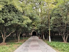 -灵谷景区